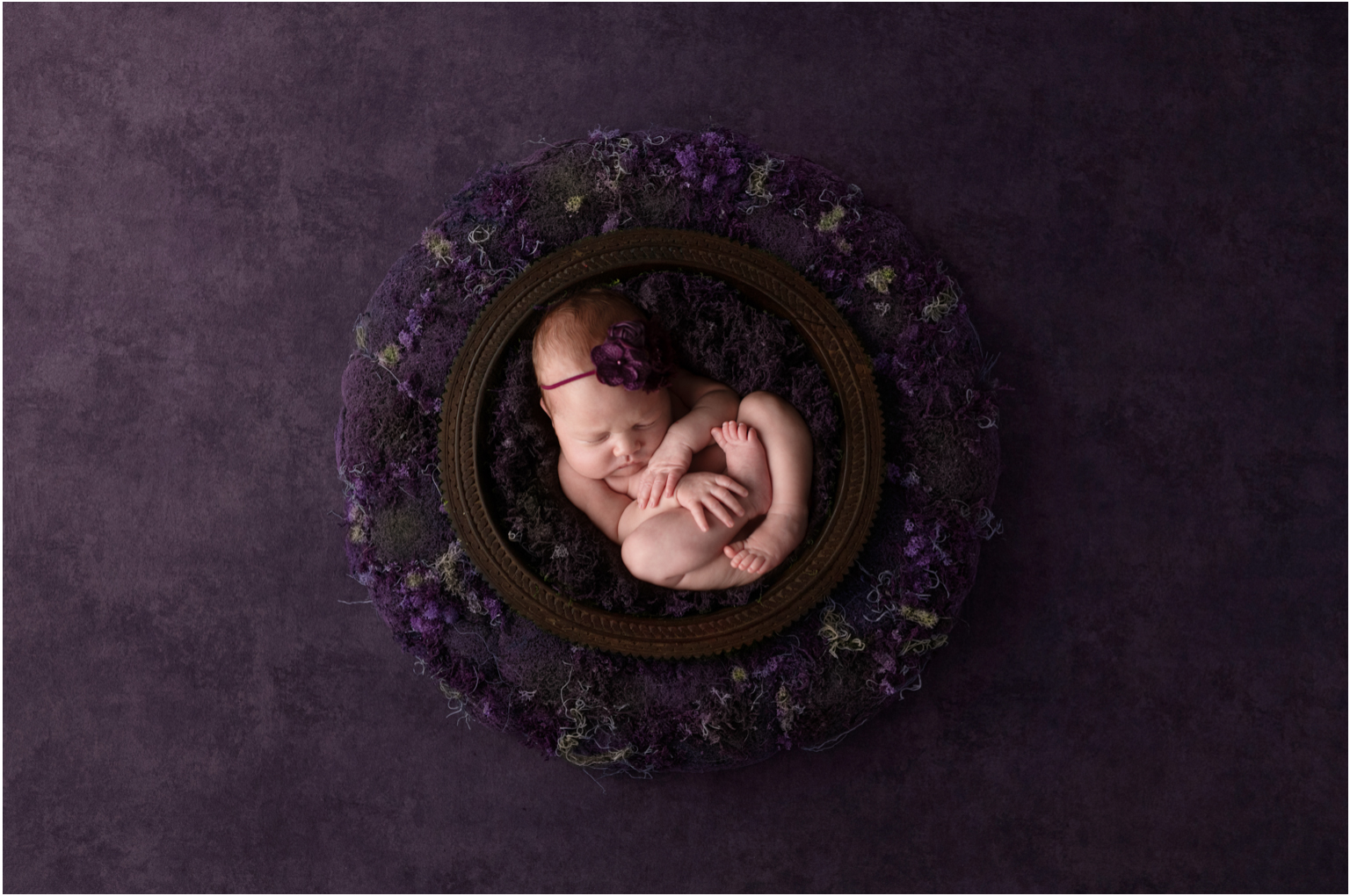 Newborn Girl Purple Wreath Williamsport PA
