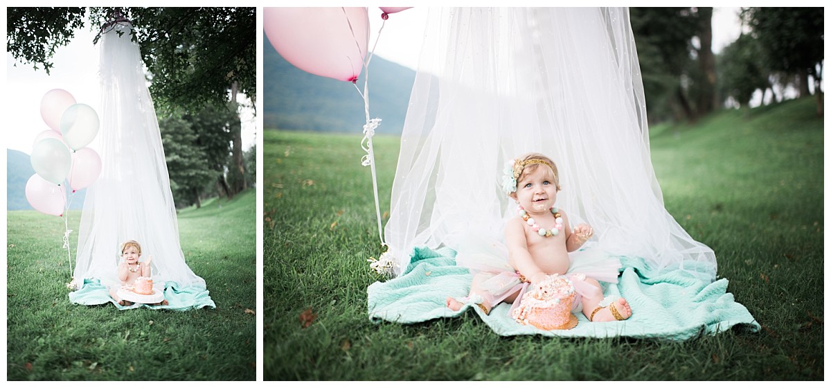 outdoor cake smash tulle