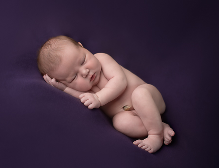Baby Amia Newborn Session purple