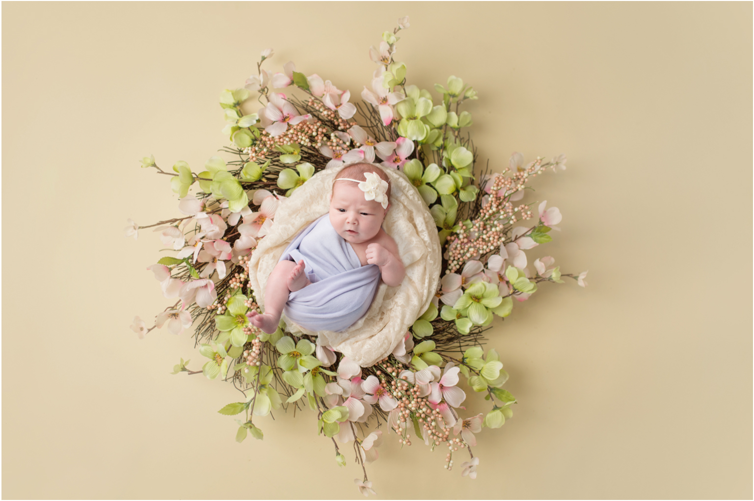 Baby Amia wreath digital backdrop photoshop skills