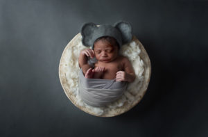 Patrick Williamsport Newborn Photographer Elephant Boy
