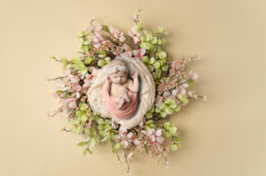 newborn photography pink wreath