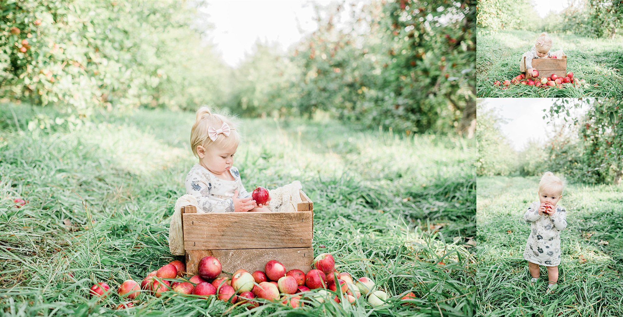 apple orchard cake smash family photography williamsport pa